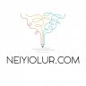 neiyiolur.com